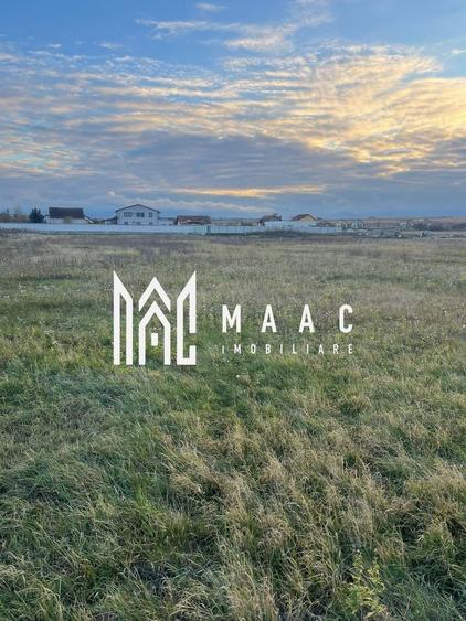 Teren intravilan | 2.100 mp  | Șura Mică - 1