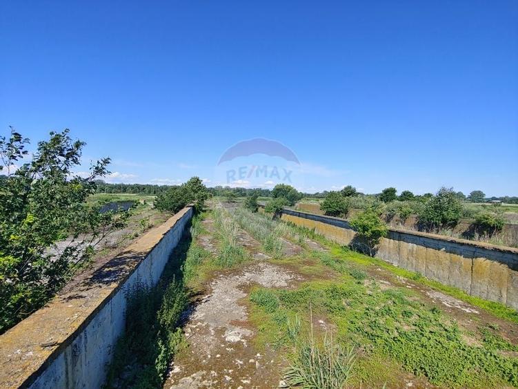 Spatiu industrial de 480mp+teren de 15069mp in Dornesti, Suceava - 13