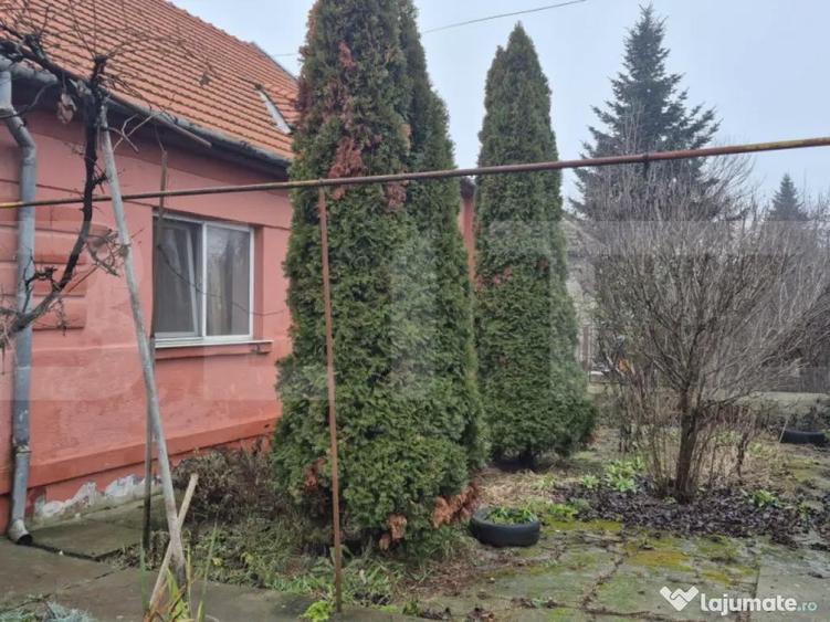 Casa 4 dormitoare, 190 mp, 1306 mp teren, zona Careiului - 6