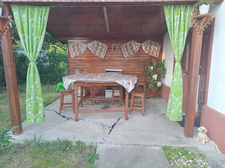 Casa de vanzare-Pitesti, sat Profa Deal - 5
