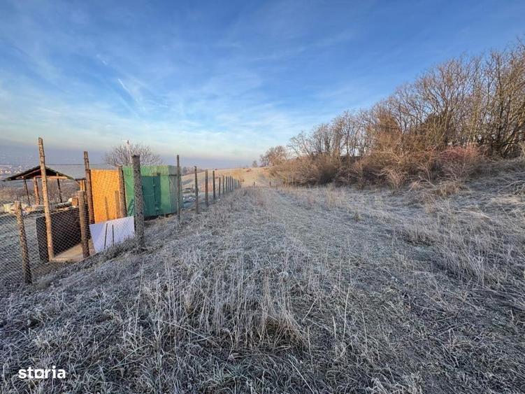 Teren de vanzare in Gusterita, cu acces asfaltat - 5