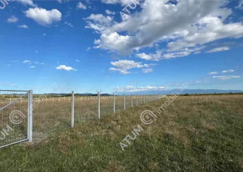 Teren 4200 mp situat in extravilanul zona Calea Surii Mici S - 4