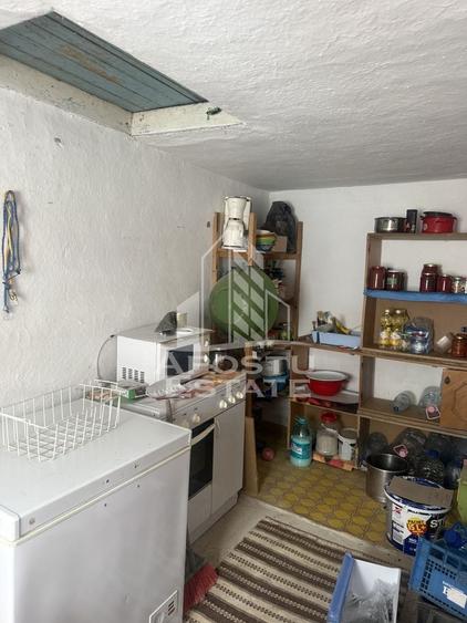 Casă individuală  în Recaș ,teren 1050 mp cu front pe două străzi . - 9