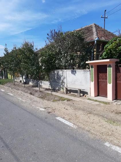 Vand proprietate in Miersig, jud.Bihor, la aproximativ 20 km de Oradea. - 5