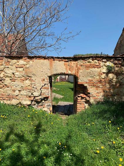 ULTRACENTRAL Zarnesti 1305 mp langa Primarie | INVESTITIE | - 6