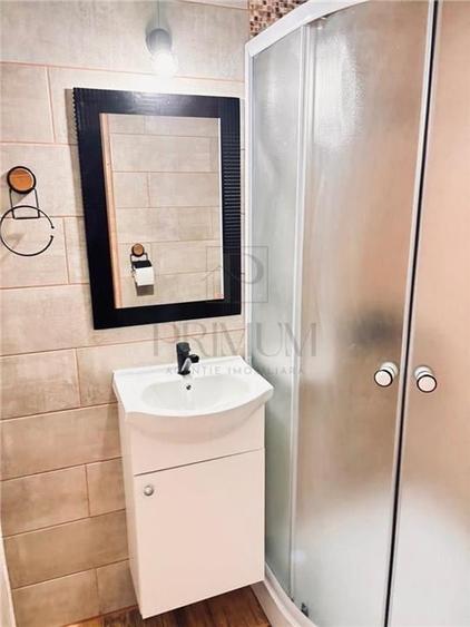 Apartament 1 camera-Nemobilat-Buziasului - 7