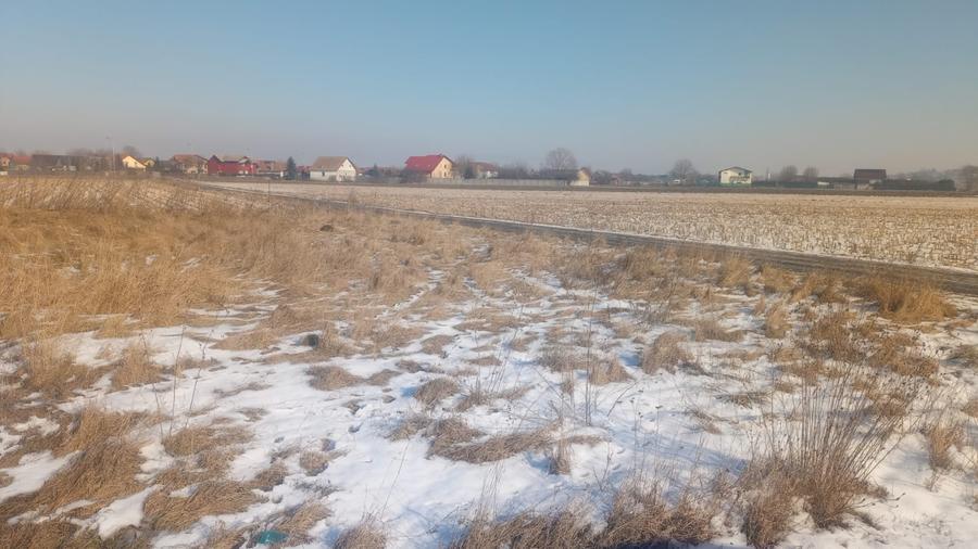 Teren intravilan 532 mp in Bod - 3