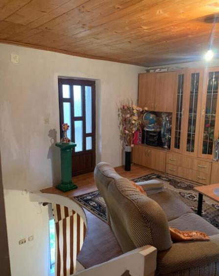 Casa P+1 com. Bobicesti , teren 4500mp. - 9