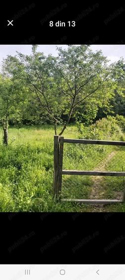 Casa batraneasca+Padure Fane?e - 4