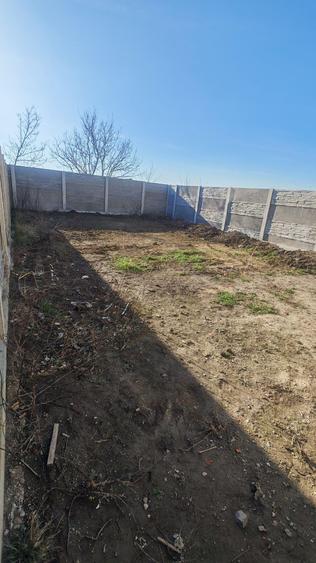 Casa Mosnita Veche in sat - 8