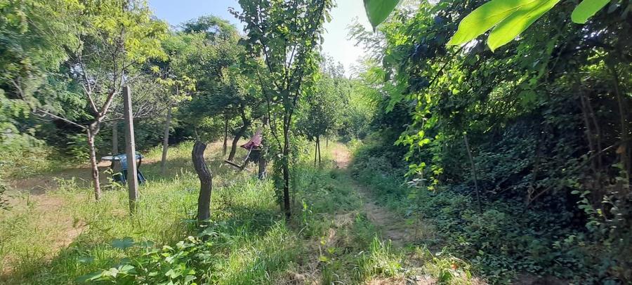 casa de vanzare in zona foarte linistita - 9