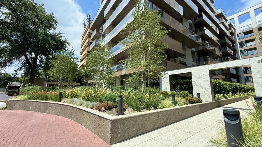 De inchiriat  | Apartament 3 camere terasa Cortina 126 | Iancu Nicolae Voluntari - 19