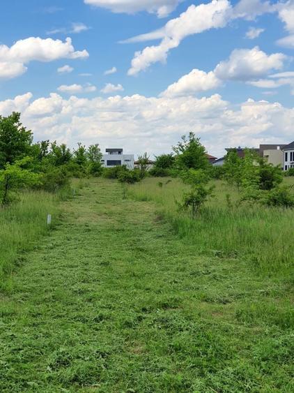 Teren Pipera proprietar - 5