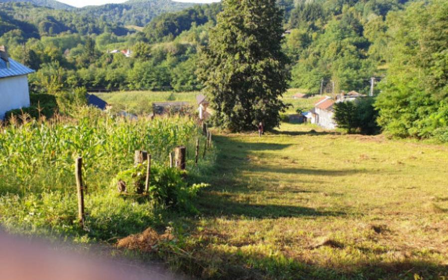 Teren 7000mp Pucioasa - Zona Pitoreasca - 7