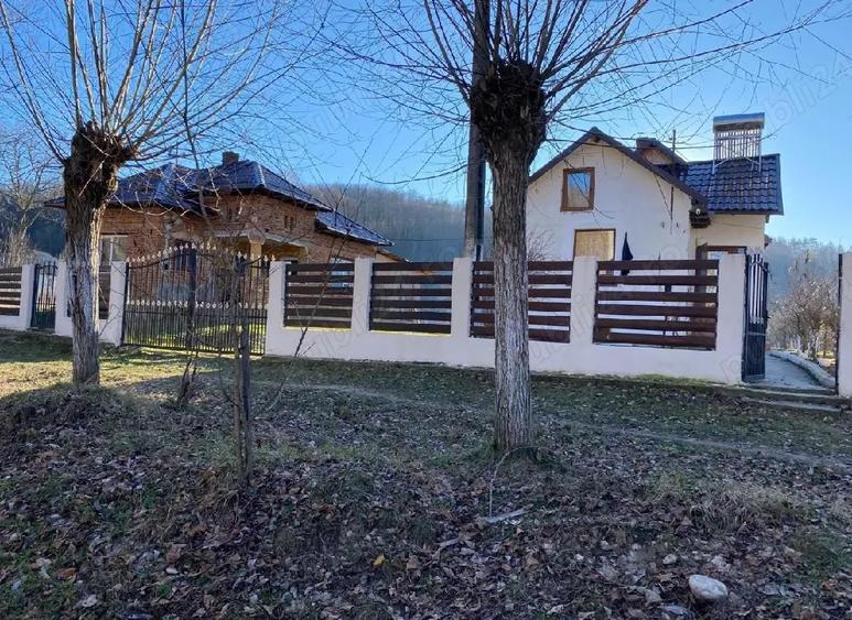 Vand 2 case in Co?e?ti - 4