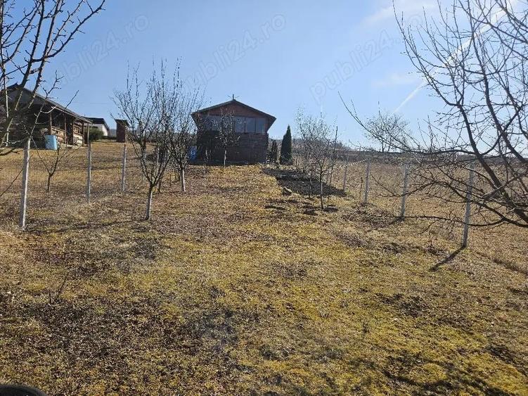 Cabana de vanzare - 1
