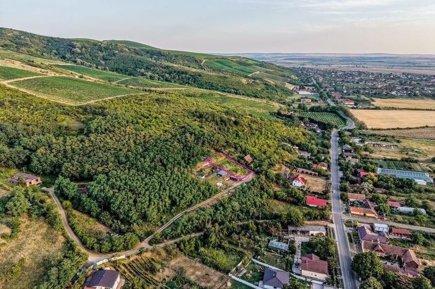 Teren de 1150 mp, în Miniș