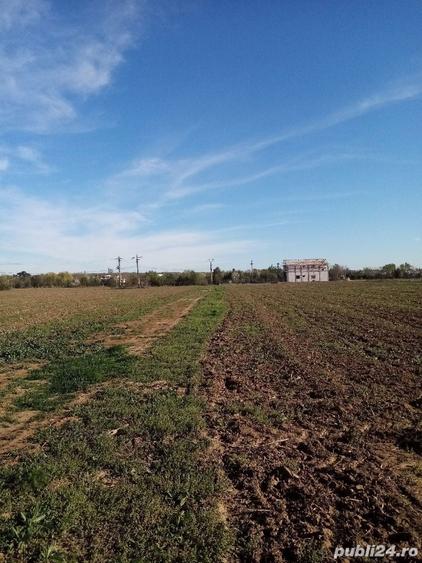 Teren de 105 mp, în Snagov