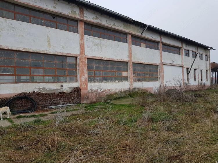 Teren de 17564 mp, în Berzovia