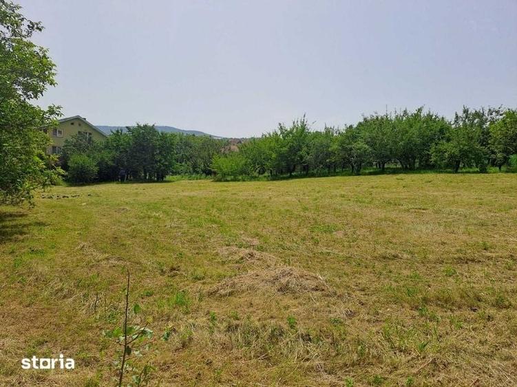 Teren de vanzare intravilan Zalau - 1