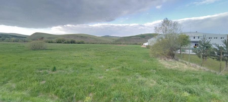 Teren de 4653 mp, în Căpușu Mare