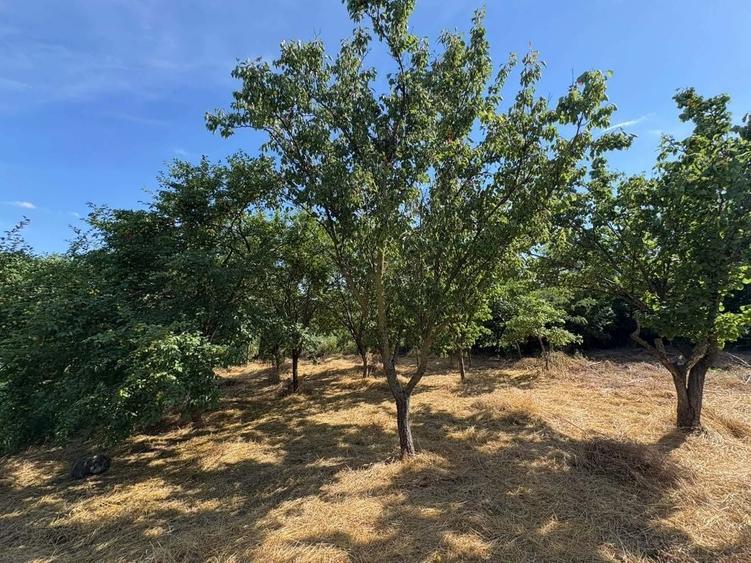 Casă cu 3 camere în Surdila-Greci