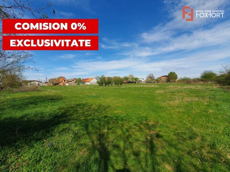 Teren Construcții intravilan de 3000 mp, în Pădureni (Jebel)