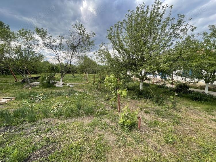 Casă cu 3 camere cu Teren 2000 Mp în Stănești
