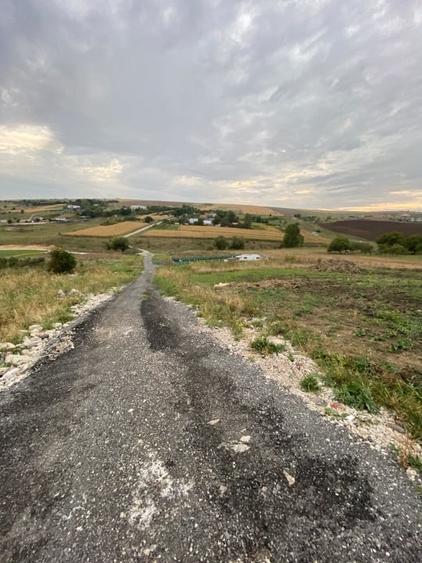 5 parcele extravilane de 600 mp fiecare pe Valea Fanatelor - 3