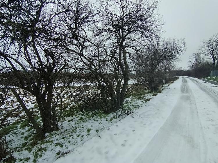 Teren 640 mp, Mischii, front 45,78 m - 1