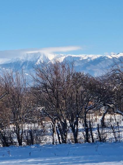 De vanzare teren extravilan - 3