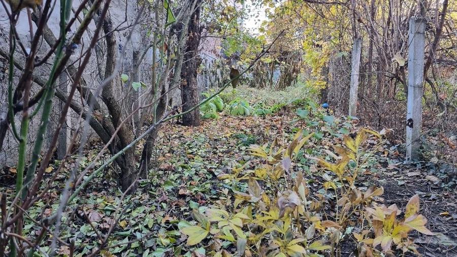 Casa zona centrala 80000 Euro - 6