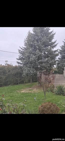 Vand vila in Targu Mures, deasupra de UMF, Corni?a - 4