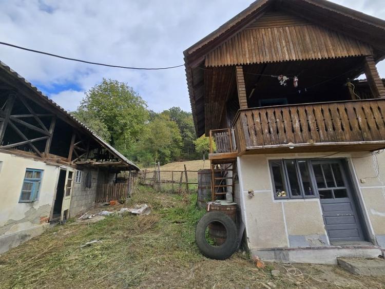 Casa si teren 5.000 mp, Stroesti - 15