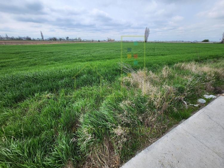 Teren agricol intravilan de 10000 mp, în Șag
