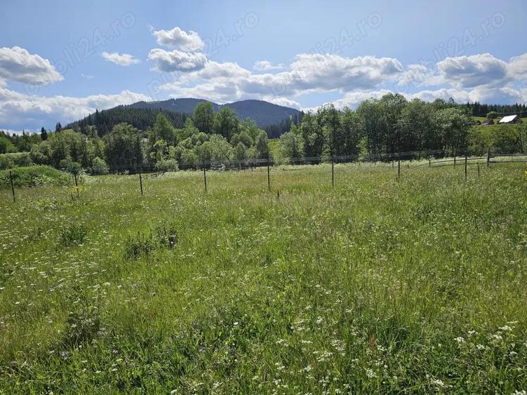 De vanzare Teren intravilan cu casa si anexe in Bucovina Moldova Sulita - 10