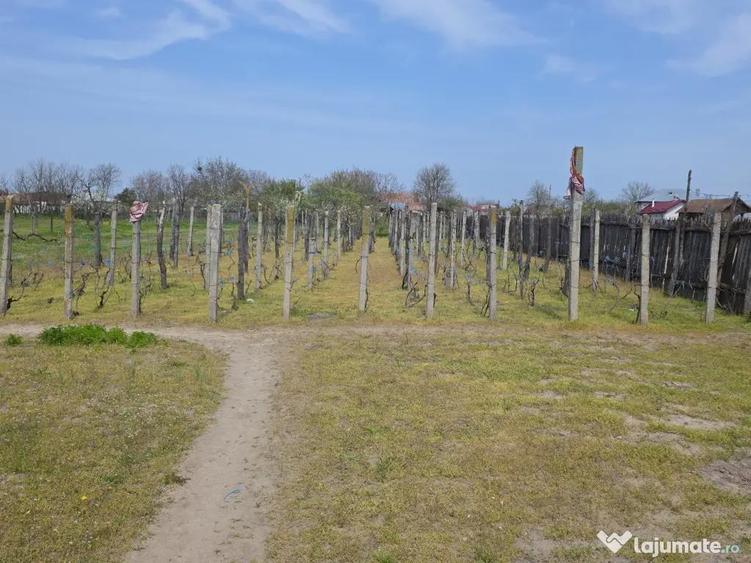 Vand casa comuna Celaru,sat Soreni, jud.Dolj - 3