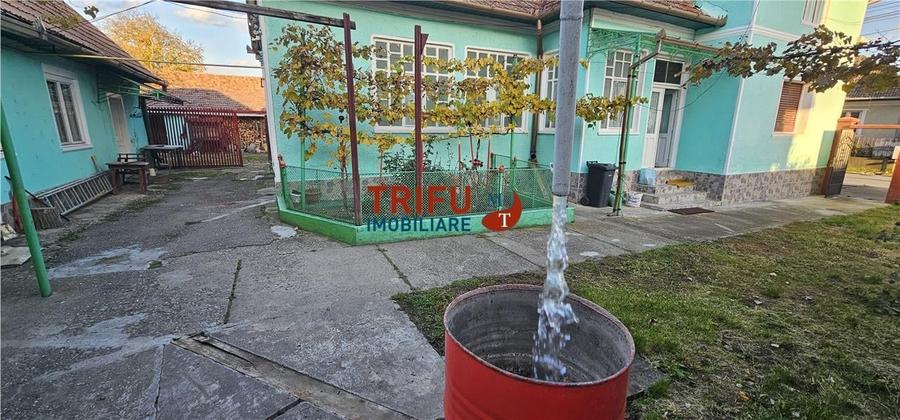 OFERTĂ!!! Casă în Cricău cu 1776mp teren, 1 ha teren arabil - 2