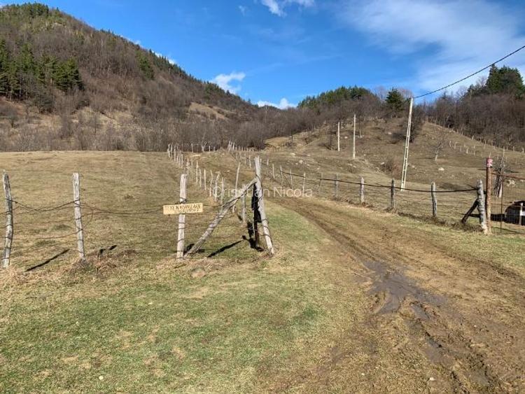 Teren Nehoiu, pentru cabană offgrid sau glamping Teren Nehoiu, pentru cabană offgrid sau glamping