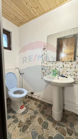 Casa / Vila cu 3 camere de inchiriat in zona Giurgiului - 20