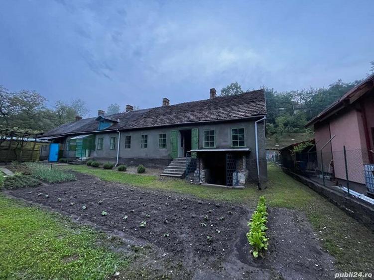 Casa de vanzare cu peste un hectar de teren - 4