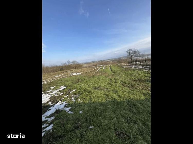 Proprietate 3.400 mp cu casa Ideala pentru ferma sau locuinta - 2
