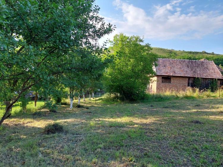 Vand teren in sat. Corusu nr.22 - 1