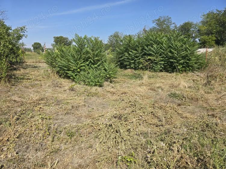 Casa de caramida - 7