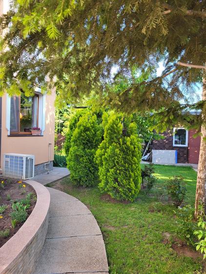 Cămin cu aer de vacanță, tot timpul anului la Snagov - 6