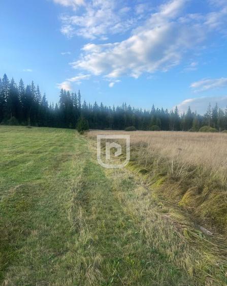 Teren intravilan Poiana Stampei ???? - 3