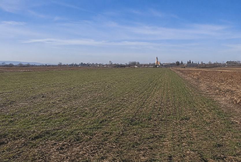 Teren agricol 7.700 mp Iugani, lângă E85 și Nodul A7 Roman, ideal investiție sau - 1