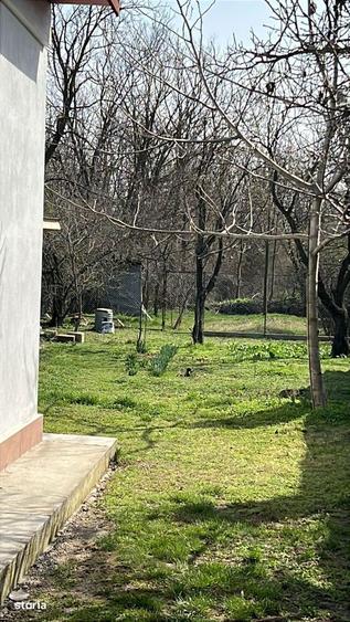 Casa Bolintin Vale Crivina - 2