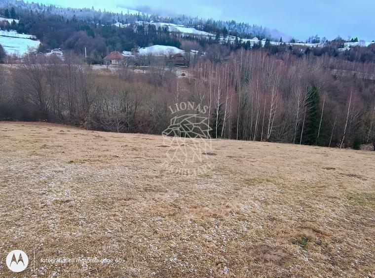 COMISION 0 TEREN TURISTIC EXTRAVILAN APROAPE DE PADURE SACUIEU VLADEASA CLUJ - 5