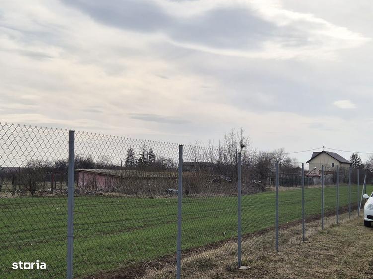 Caciulati, vanzare casa 3 camere la rosu, teren 400mp. - 16